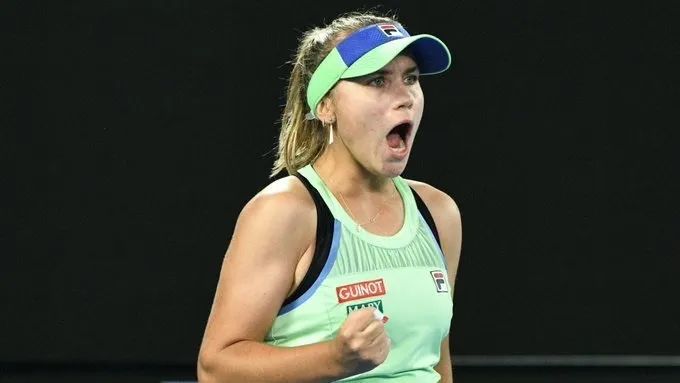 皮的清洁和 皮的清洁和